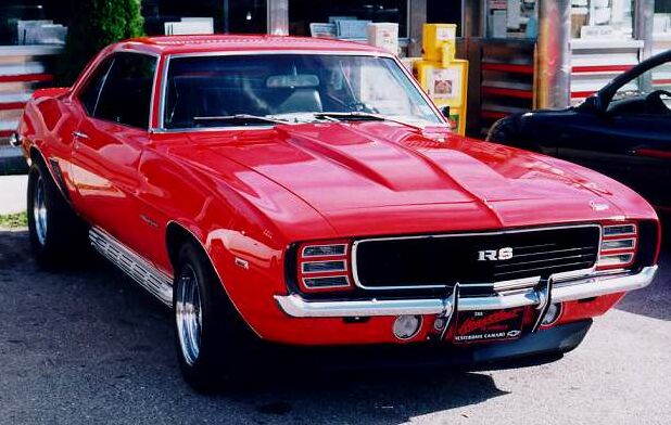 1981 chevrolet custom delux 30